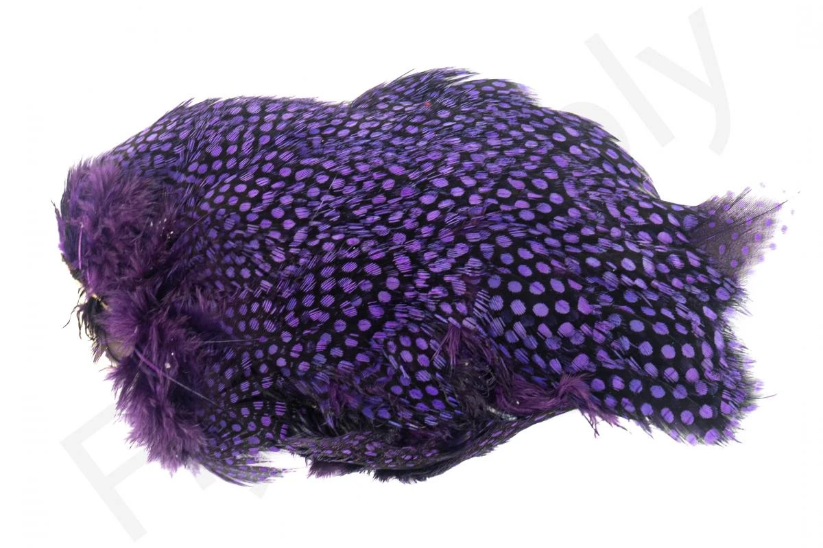 Whiting Guinea Fowl Breast 5 Whiting Guinea Fowl Breast - Image 3