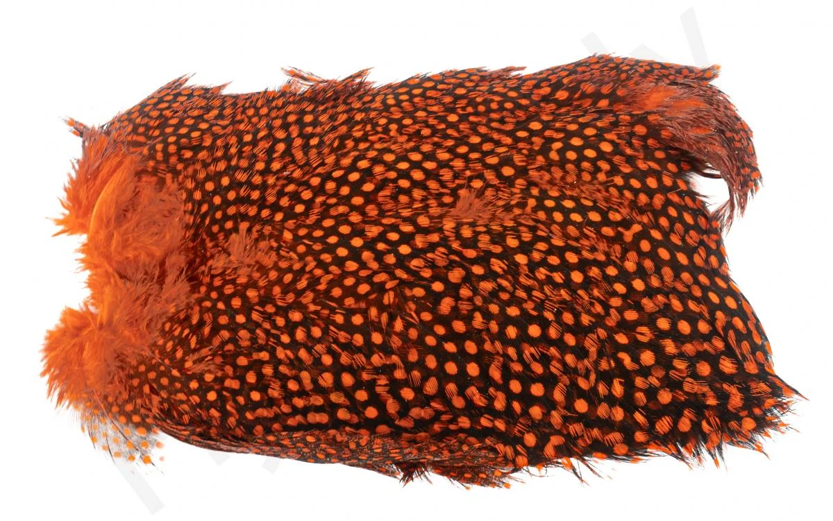 Whiting Guinea Fowl Breast 4 Whiting Guinea Fowl Breast - Image 2