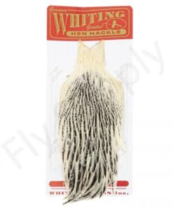 Whiting Hen Cape -Fishing Specialty Store Whiting Hen Cape WHIT HENCAPE XX dsc03924 bewerkt