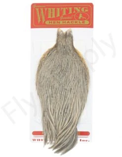 Whiting Hen Cape -Fishing Specialty Store Whiting Hen Cape WHIT HENCAPE XX dsc03926 bewerkt