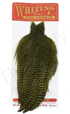 Whiting Hen Cape -Fishing Specialty Store Whiting Hen Cape WHIT HENCAPE XX dsc03928 bewerkt