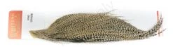 Whiting Pro 1/2 Cape -Fishing Specialty Store Whiting Pro 12 Cape WHIT HFCAPEPRO X dsc08114 bewerkt