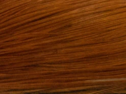 Whiting Pro 1/2 Cape -Fishing Specialty Store Whiting Pro 12 Cape WHIT HFCAPEPRO X dsc08119 bewerkt 2