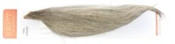 Whiting Pro 1/2 Cape -Fishing Specialty Store Whiting Pro 12 Cape WHIT HFCAPEPRO X dsc08122 bewerkt