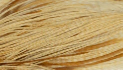 Whiting Pro 1/2 Cape -Fishing Specialty Store Whiting Pro 12 Cape WHIT HFCAPEPRO X dsc08294 bewerkt 2