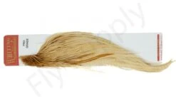 Whiting Pro 1/2 Cape -Fishing Specialty Store Whiting Pro 12 Cape WHIT HFCAPEPRO X dsc08294 bewerkt