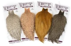 Whiting Pro Grade Spey Cape