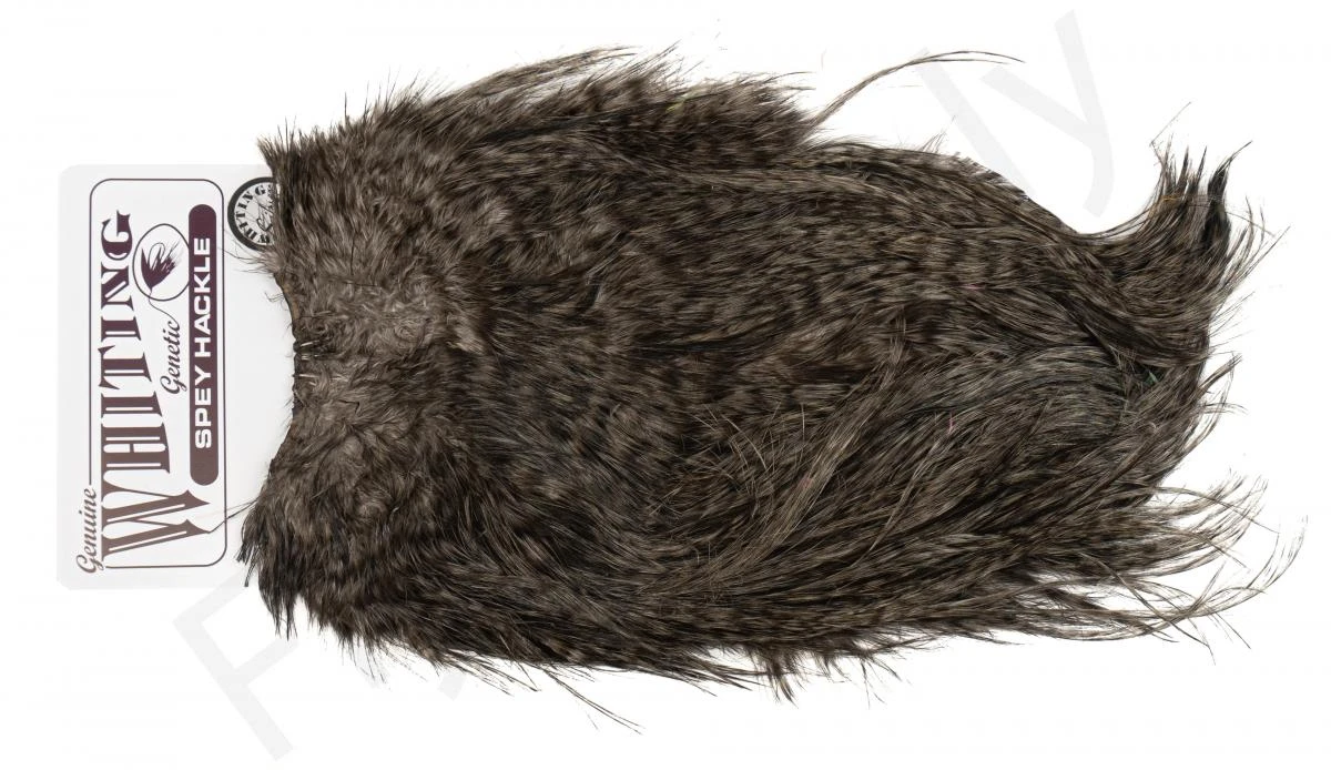 Whiting Silver Spey Hackle Saddle 5 Whiting Silver Spey Hackle Saddle - Image 3
