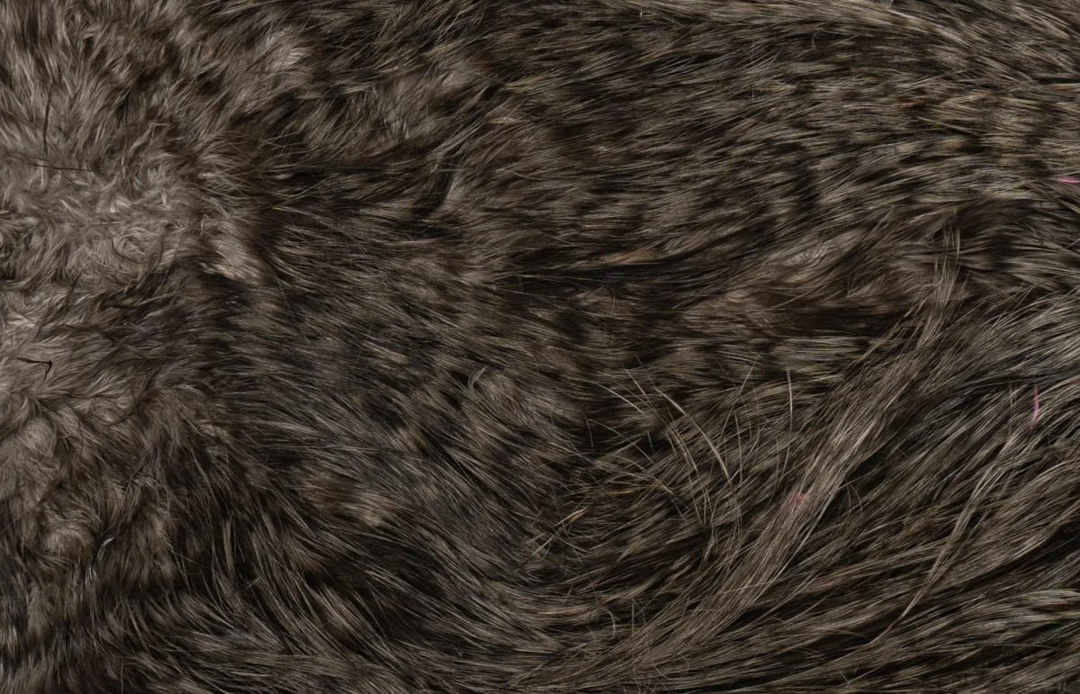 Whiting Silver Spey Hackle Saddle 6 Whiting Silver Spey Hackle Saddle - Image 4