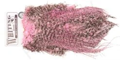 Whiting Silver Spey Hackle Saddle 28 Whiting Silver Spey Hackle Saddle -Fishing Specialty Store Whiting Silver Spey Hackle Saddle WHIT SSHS X dsc02890 bewerkt