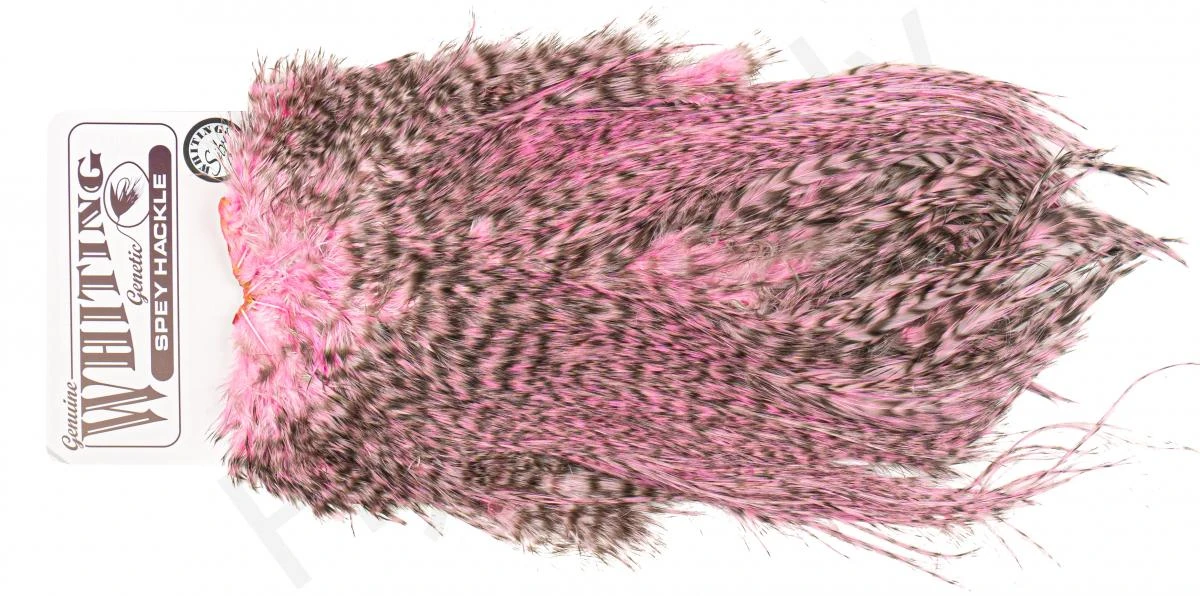 Whiting Silver Spey Hackle Saddle 9 Whiting Silver Spey Hackle Saddle - Image 7