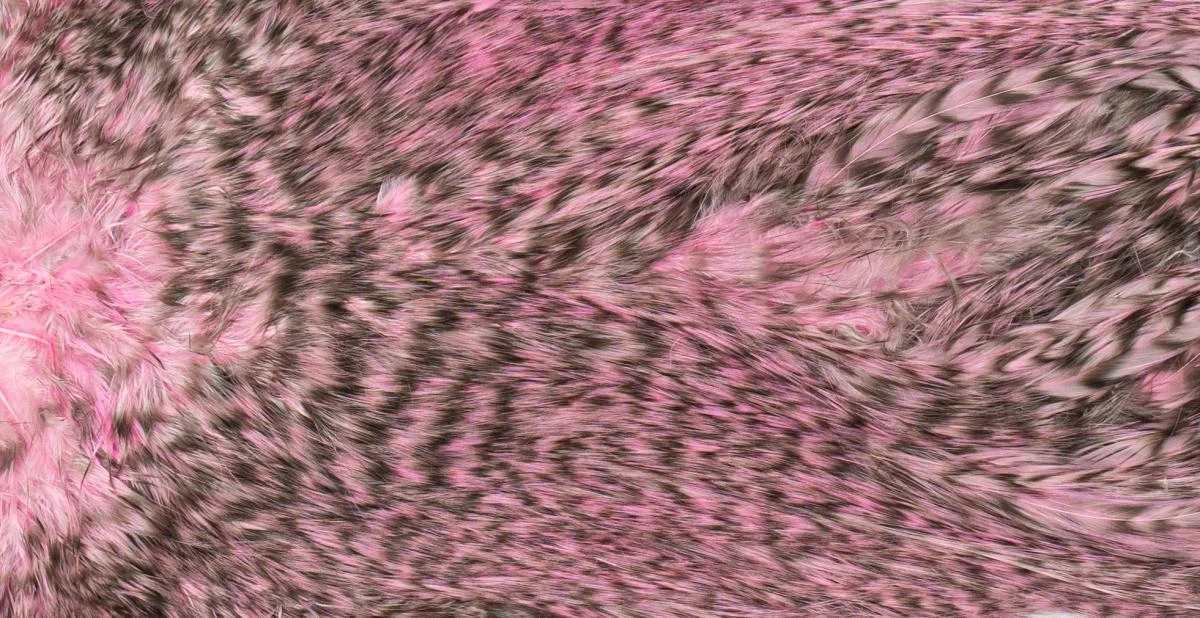 Whiting Silver Spey Hackle Saddle 10 Whiting Silver Spey Hackle Saddle - Image 8