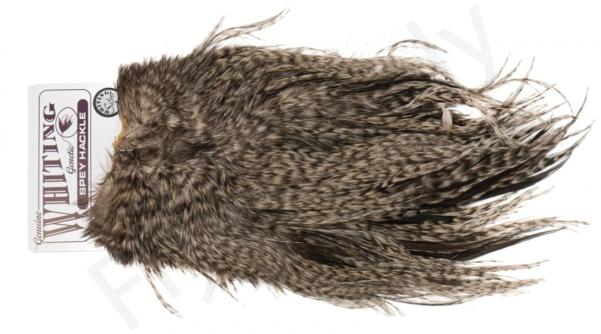 Whiting Silver Spey Hackle Saddle 13 Whiting Silver Spey Hackle Saddle - Image 11