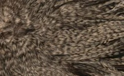 Whiting Silver Spey Hackle Saddle 33 Whiting Silver Spey Hackle Saddle -Fishing Specialty Store Whiting Silver Spey Hackle Saddle WHIT SSHS X dsc028912