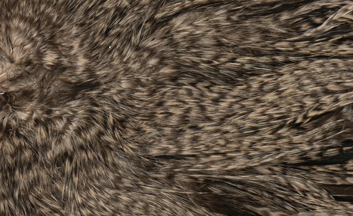 Whiting Silver Spey Hackle Saddle 14 Whiting Silver Spey Hackle Saddle - Image 12