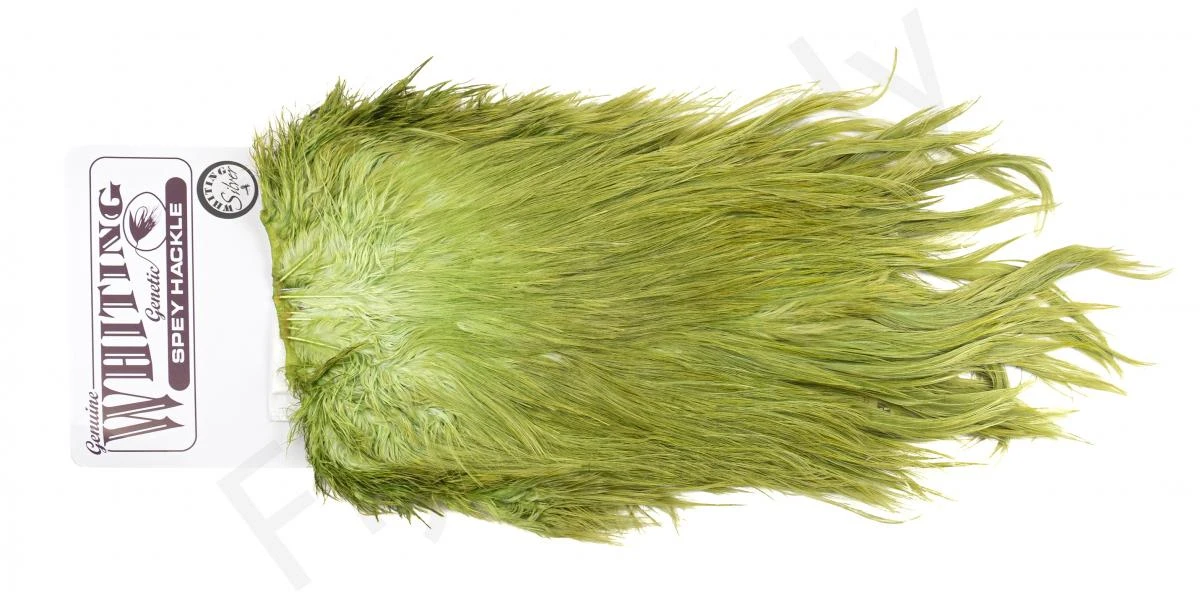 Whiting Silver Spey Hackle Saddle 15 Whiting Silver Spey Hackle Saddle - Image 13