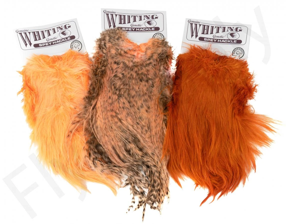Whiting Silver Spey Hackle Saddle 4 Whiting Silver Spey Hackle Saddle - Image 2