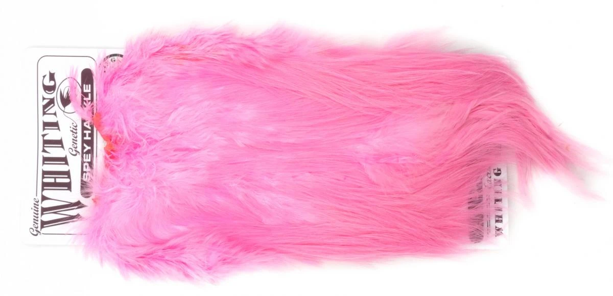 Whiting Silver Spey Hackle Saddle 19 Whiting Silver Spey Hackle Saddle - Image 17