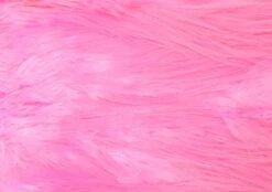 Whiting Silver Spey Hackle Saddle 39 Whiting Silver Spey Hackle Saddle -Fishing Specialty Store Whiting Silver Spey Hackle Saddle WHIT SSHS X dsc09150 bewerkt 3