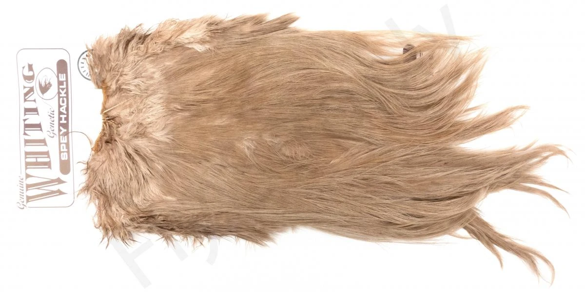 Whiting Silver Spey Hackle Saddle 21 Whiting Silver Spey Hackle Saddle - Image 19