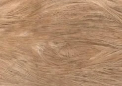 Whiting Silver Spey Hackle Saddle 41 Whiting Silver Spey Hackle Saddle -Fishing Specialty Store Whiting Silver Spey Hackle Saddle WHIT SSHS X dsc09574 bewerkt 3