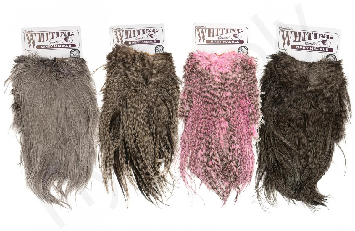 Whiting Silver Spey Hackle Saddle 3 Whiting Silver Spey Hackle Saddle