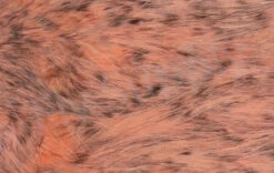 Whiting Silver Spey Hackle Saddle 27 Whiting Silver Spey Hackle Saddle -Fishing Specialty Store Whiting Silver Spey Hackle Saddle WHIT SSHS X whiting silver spey hacklee2 saddle whit sshs x dsc03395 bewerkt 2 wm