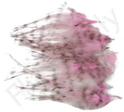 Whiting Spey Hackles Select 20pc -Fishing Specialty Store Whiting Spey Hackles Select 20pc WSHS20 X dsc01656 bewerkt wm