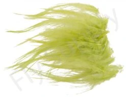 Whiting Spey Hackles Select 20pc -Fishing Specialty Store Whiting Spey Hackles Select 20pc WSHS20 X dsc01659 bewerkt wm