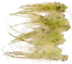 Whiting Spey Hackles Select 20pc -Fishing Specialty Store Whiting Spey Hackles Select 20pc WSHS20 X dsc01681 bewerkt wm