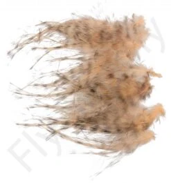 Whiting Spey Hackles Select 20pc -Fishing Specialty Store Whiting Spey Hackles Select 20pc WSHS20 X dsc01687 bewerkt wm