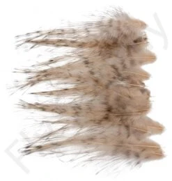 Whiting Spey Hackles Select 20pc -Fishing Specialty Store Whiting Spey Hackles Select 20pc WSHS20 X dsc01690 bewerkt wm