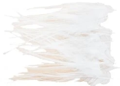 Whiting Spey Hackles Select 20pc -Fishing Specialty Store Whiting Spey Hackles Select 20pc WSHS20 X dsc07364