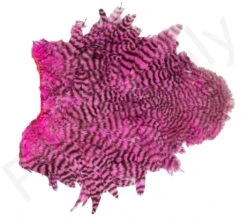 Whiting Spey Soft Hackle With Chickabou 13 Whiting Spey Soft Hackle With Chickabou -Fishing Specialty Store Whiting Spey Soft Hackle With Chickabou WHIT SPEYCHICK X dsc03590 bewerkt