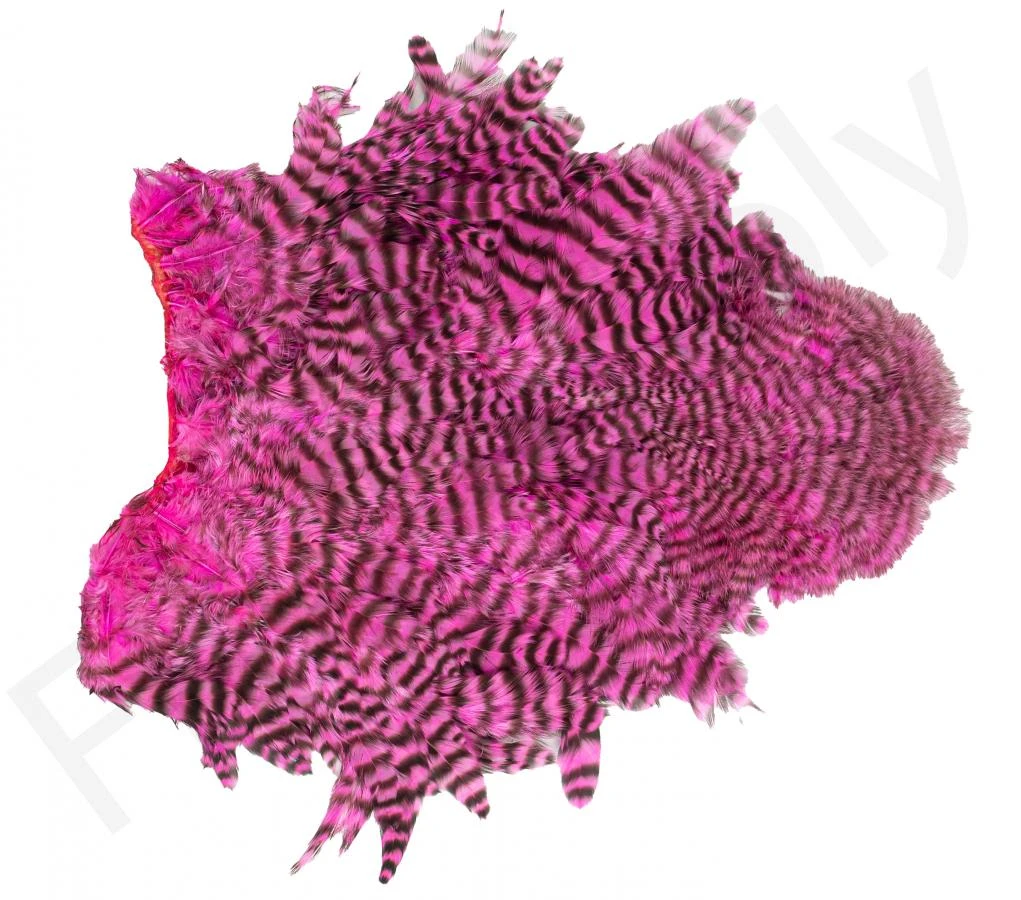 Whiting Spey Soft Hackle With Chickabou 8 Whiting Spey Soft Hackle With Chickabou - Image 6