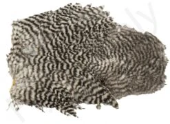 Whiting Spey Soft Hackle With Chickabou 11 Whiting Spey Soft Hackle With Chickabou -Fishing Specialty Store Whiting Spey Soft Hackle With Chickabou WHIT SPEYCHICK X dsc04042 bewerkt