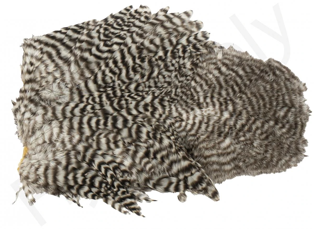 Whiting Spey Soft Hackle With Chickabou 6 Whiting Spey Soft Hackle With Chickabou - Image 4