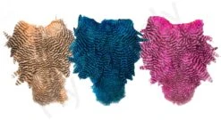 Whiting Spey Soft Hackle With Chickabou