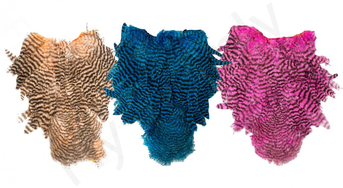 Whiting Spey Soft Hackle With Chickabou 3 Whiting Spey Soft Hackle With Chickabou