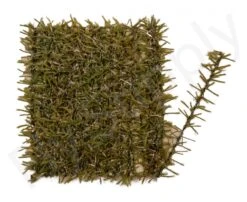 Wolly Chenille 5 Mm -Fishing Specialty Store Wolly Chenille 5 mm PWC XXX dsc01291 bewerkt wm