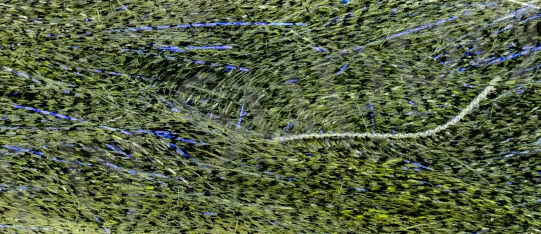 XXL Pike Chenille 10CM Long Fibres 6 XXL Pike Chenille 10CM Long Fibres - Image 4