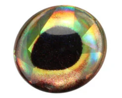 3D Epoxy Fish Eyes Perch -Fishing Specialty Store holoperch3depoxy 2