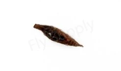 Realistic Nymph Backs 16mm 10pc -Fishing Specialty Store img 1461 bewerkt wm