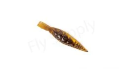 Realistic Nymph Backs 16mm 10pc -Fishing Specialty Store img 1469 bewerkt wm