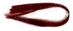 Pike Monkey Zebra Hair -Fishing Specialty Store img 1704 bewerkt wm