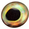 3D Epoxy Fish Eyes Perch 1 3D Epoxy Fish Eyes Perch -Fishing Specialty Store perch3depoxy1 2