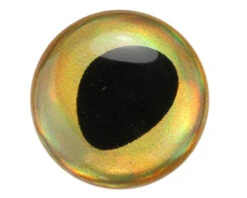 3D Epoxy Fish Eyes Rainbow Gold