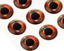 3D Epoxy Fish Eyes Roach -Fishing Specialty Store roach3depoxy 2