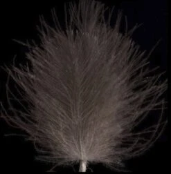 Swiss CDC Ultra Select XL Feathers -Fishing Specialty Store swisscdcdarkgreykhaki