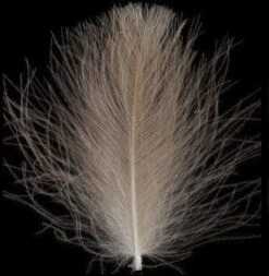 Swiss CDC Ultra Select XL Feathers -Fishing Specialty Store swisscdclightbrown